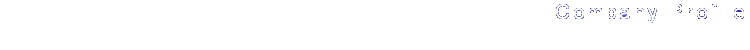 Company Profile